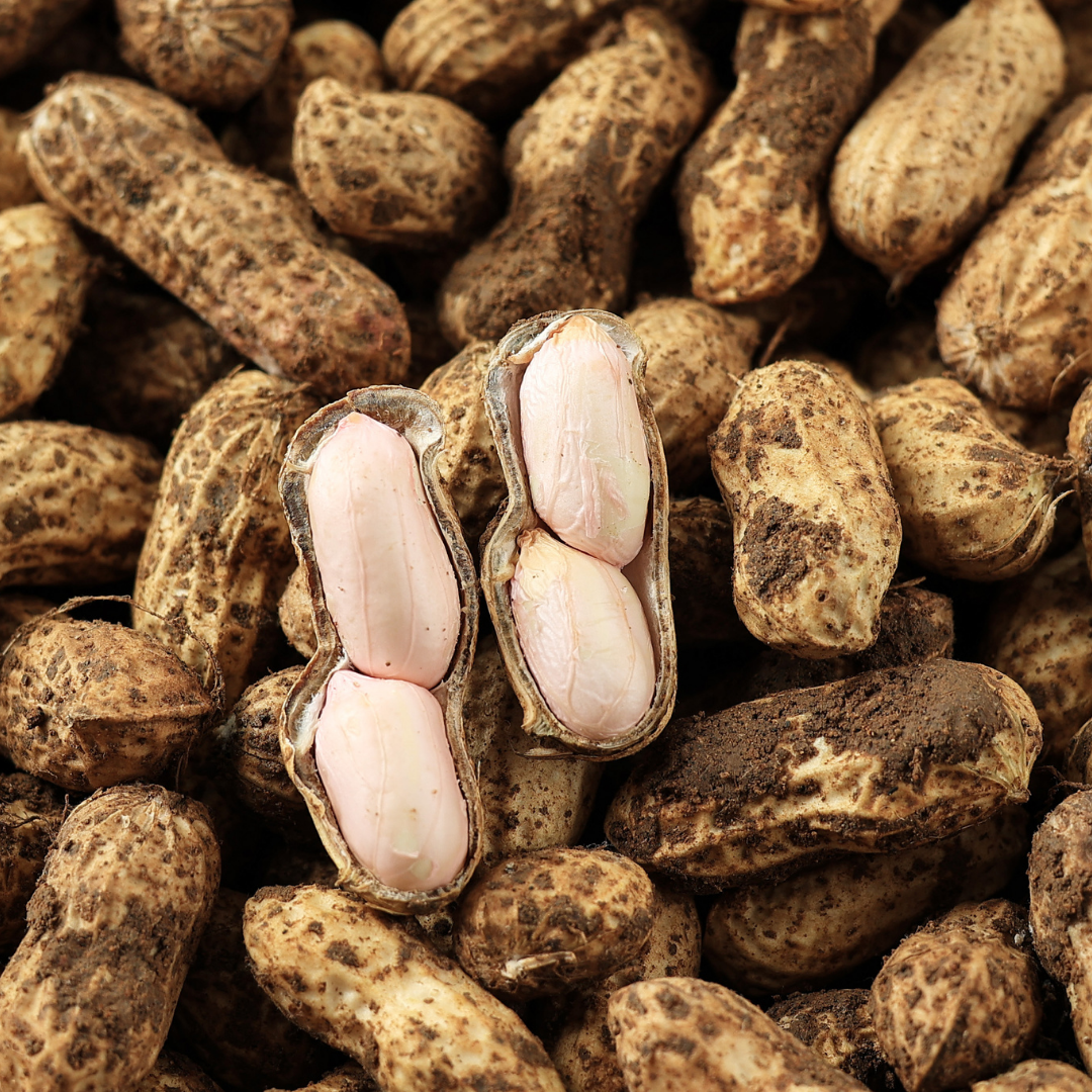 Ground Nut Oil