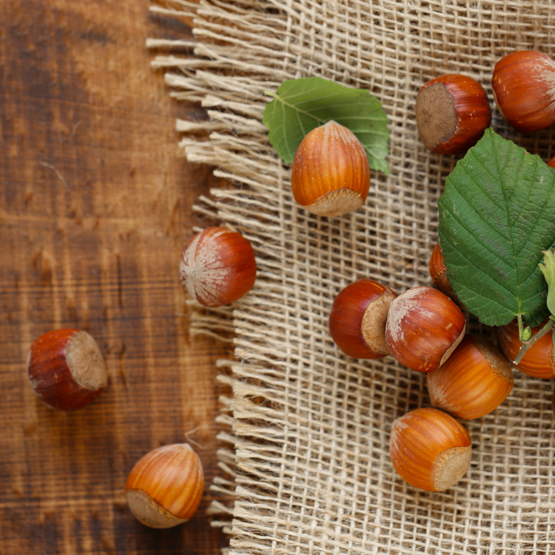 Hazelnut Oil