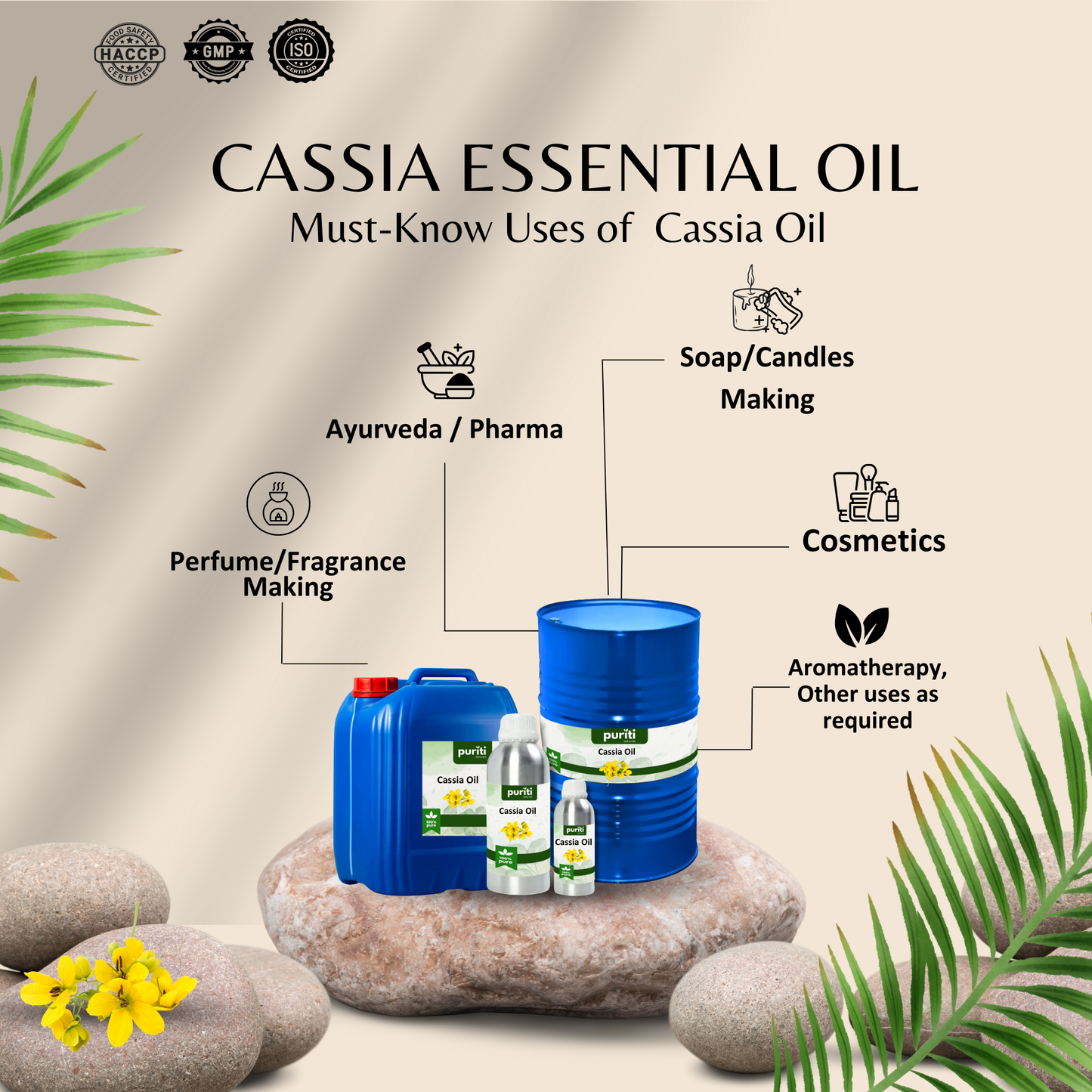 Cassia Essential Oil