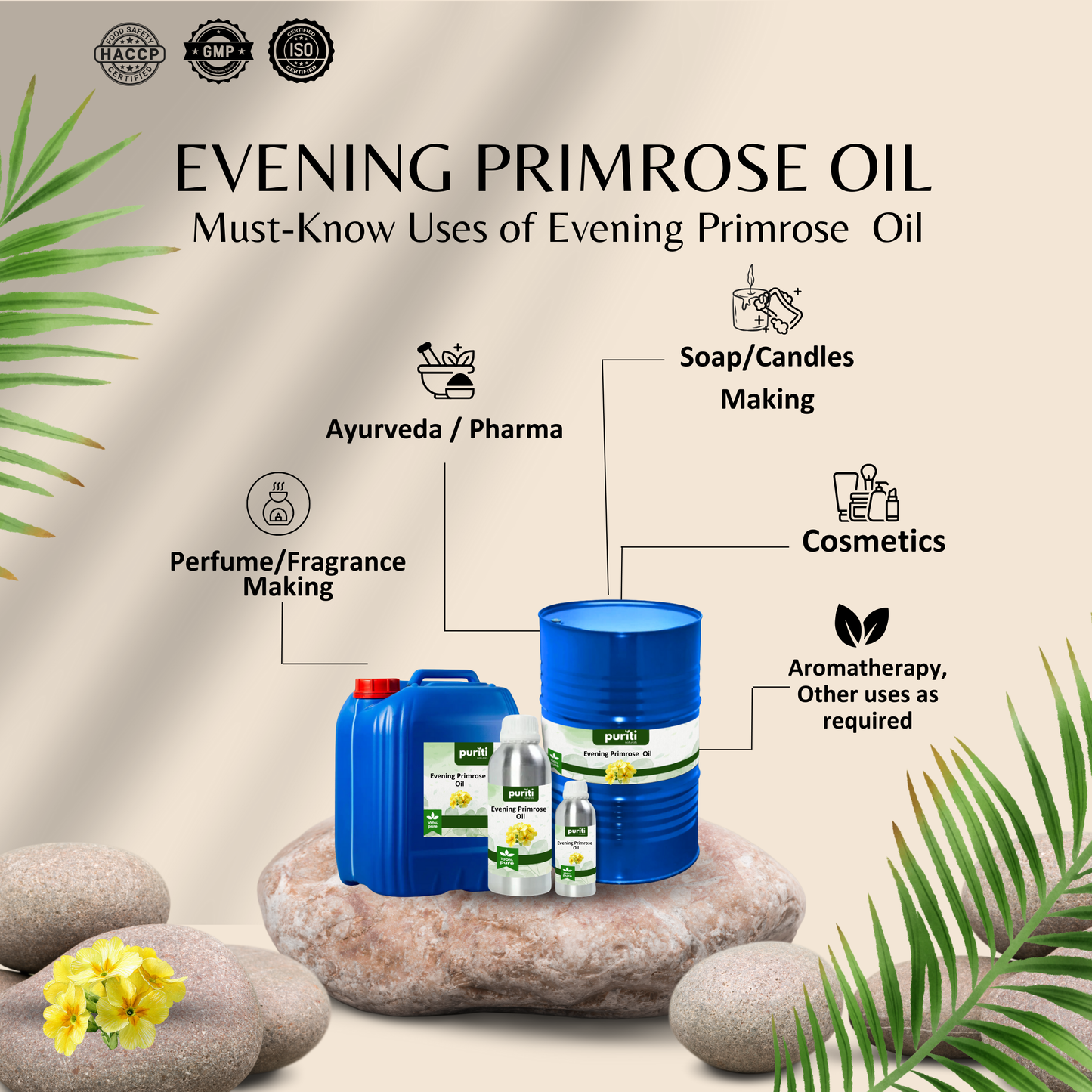 Evening Primrose Oil