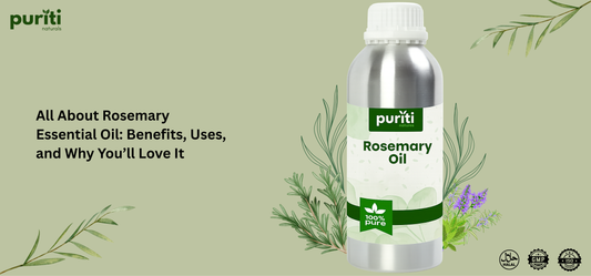 ALL ABOUT ROSEMARY ESSENTIAL OIL: BENEFITS, USES, AND WHY YOU’LL LOVE IT