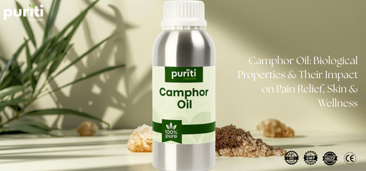 CAMPHOR OIL: BIOLOGICAL PROPERTIES & THEIR IMPACT ON PAIN RELIEF, SKIN & WELLNESS