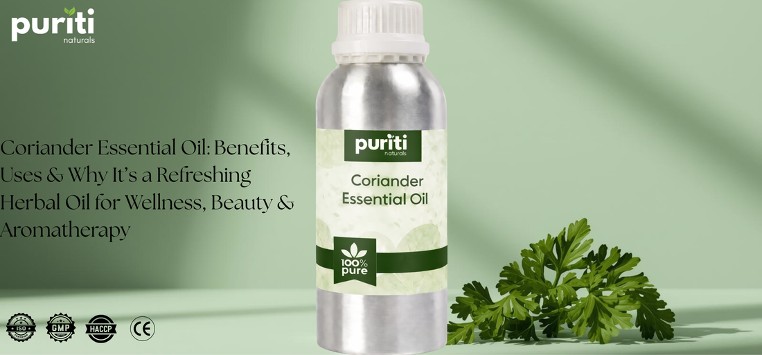 Coriander Essential Oil: Benefits, Uses & Why It’s a Refreshing Herbal Oil for Wellness, Beauty & Aromatherapy
