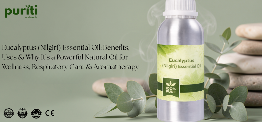 Eucalyptus (Nilgiri) Essential Oil: Benefits, Uses & Why It’s a Powerful Natural Oil for Wellness, Respiratory Care & Aromatherapy