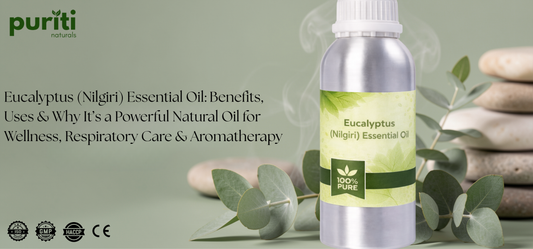 Eucalyptus (Nilgiri) Essential Oil: Benefits, Uses & Why It’s a Powerful Natural Oil for Wellness, Respiratory Care & Aromatherapy