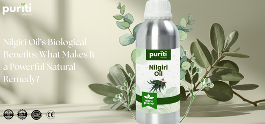 NILGIRI OIL’S BIOLOGICAL BENEFITS: WHAT MAKES IT A POWERFUL NATURAL REMEDY?