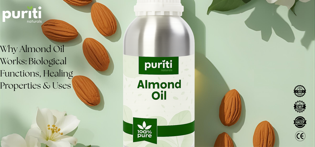 WHY ALMOND OIL WORKS: BIOLOGICAL FUNCTIONS, HEALING PROPERTIES & USES