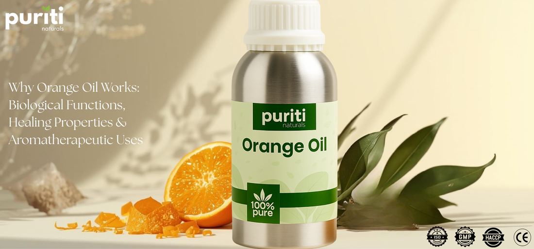 ALL ABOUT THE BIOLOGICAL ACTIVITIES OF ORANGE ESSENTIAL OIL