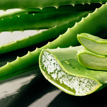 Aloe Vera Oil