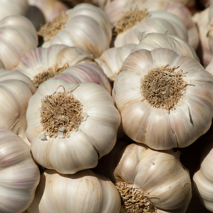 Garlic Essential Oil