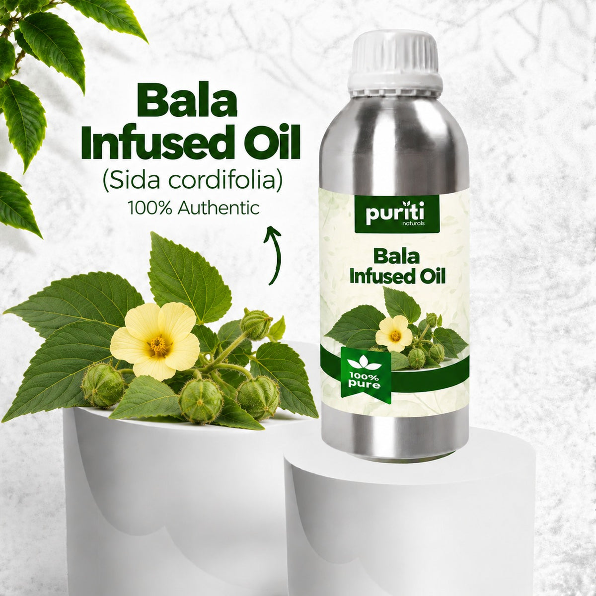 Bala Infused Oi